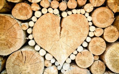 Echte liefde kent geen afstand